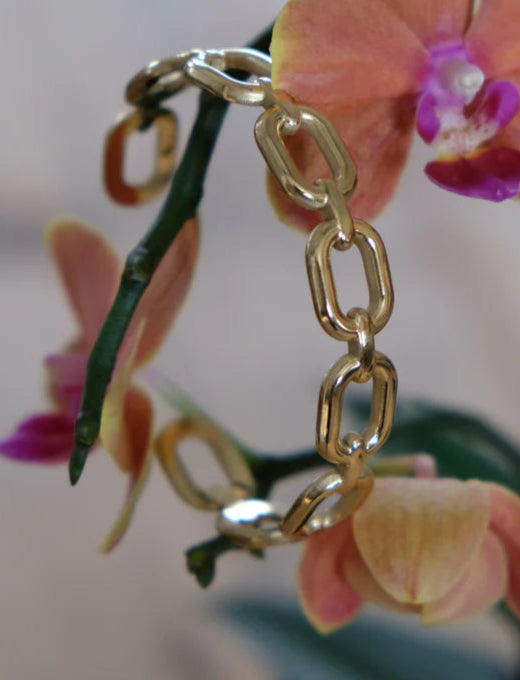 BRACCIALE