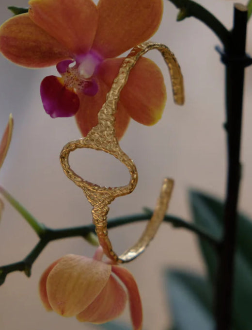 BRACCIALE